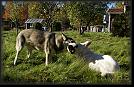 89 Hoest-Herbst-Autumn 07 * 3304 x 2128 * (6.17MB)